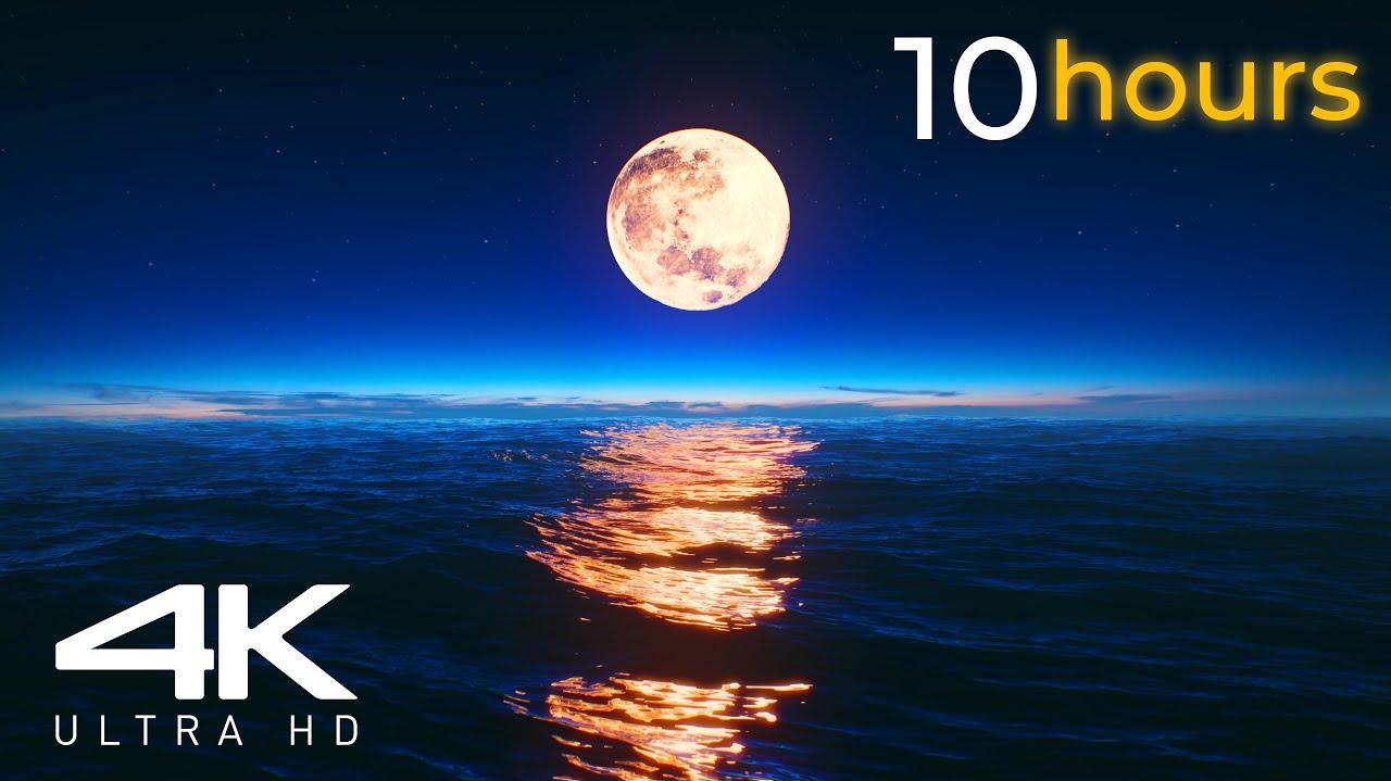 🔥 Download Moon Set Over The Ocean Screensaver Live Wallpaper Hours 4k ...