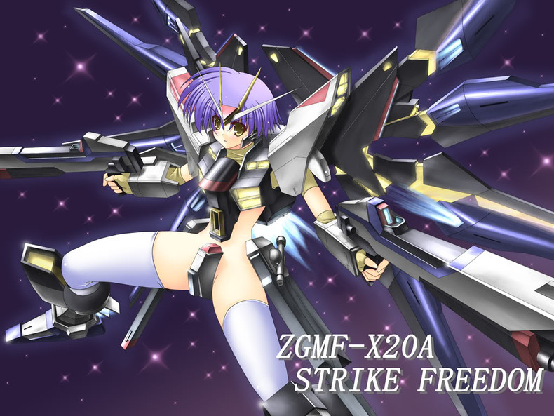 Strike Freedom Gundam Wallpaper Wallpaper Strike Freedom 790x593