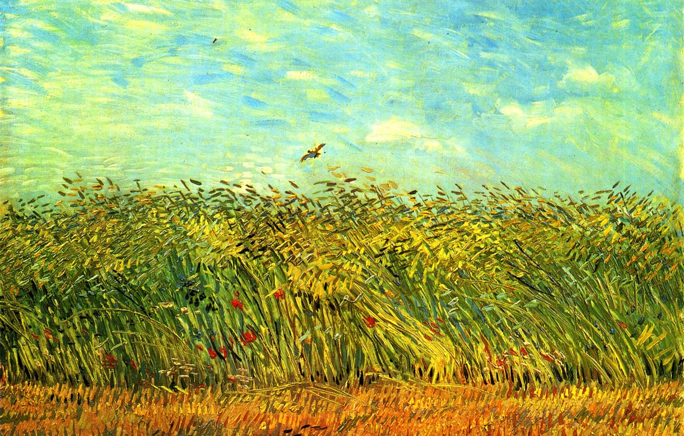 Wallpaper The Sky Flowers Bird Ears Vincent Van Gogh Wheat