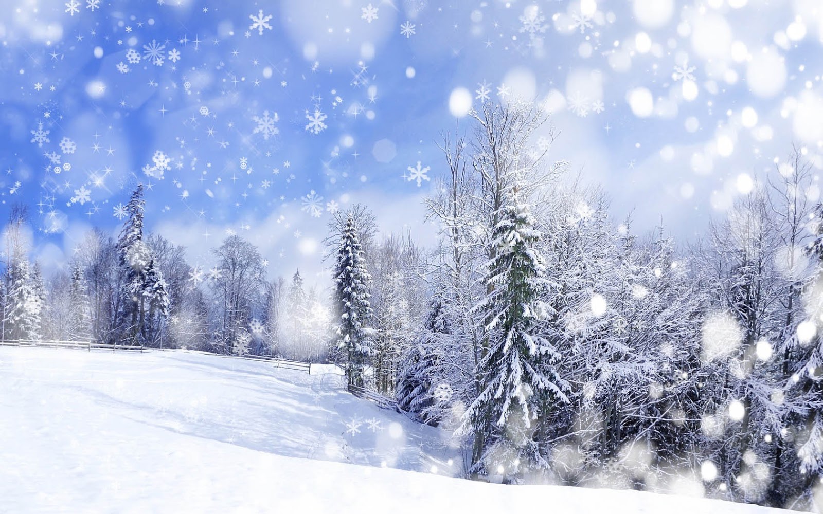 Kerst Met Een Winterlandschap Sneeuw En Bomen HD Wallpaper