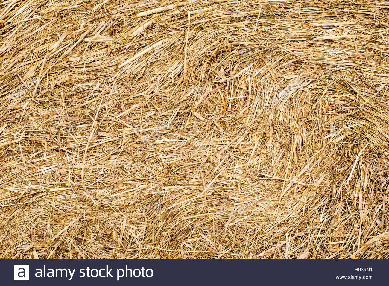 Hay Bales Texture Background Straw Rolls Stock Photo