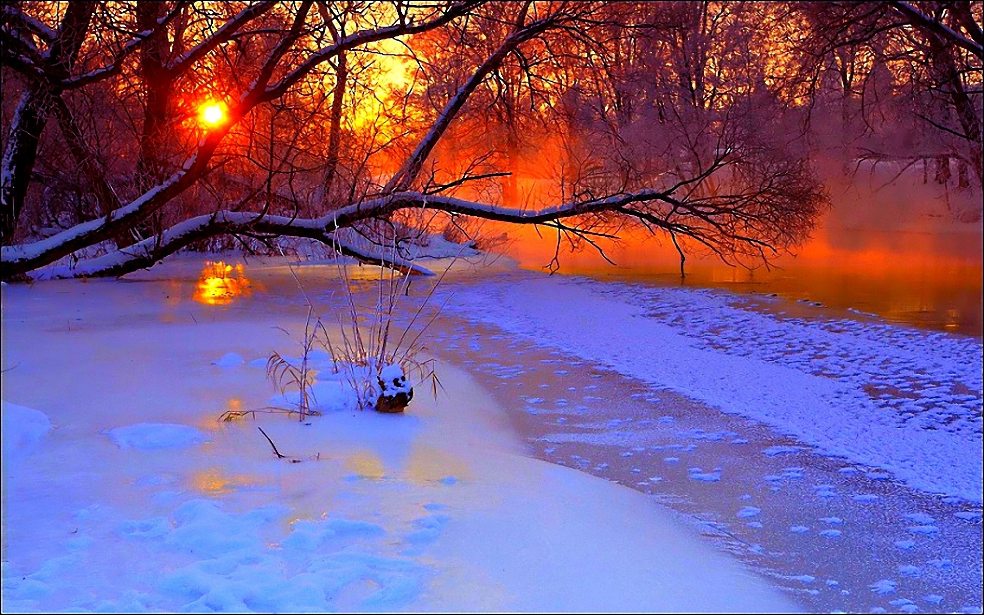 Winter Sunset Evening Branches Tree Pond Cold