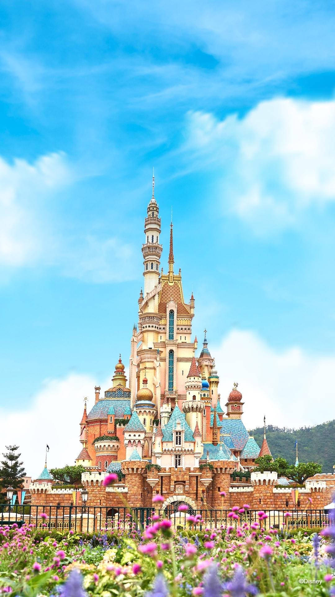 Disneyland Castle Bilder Wallpaper