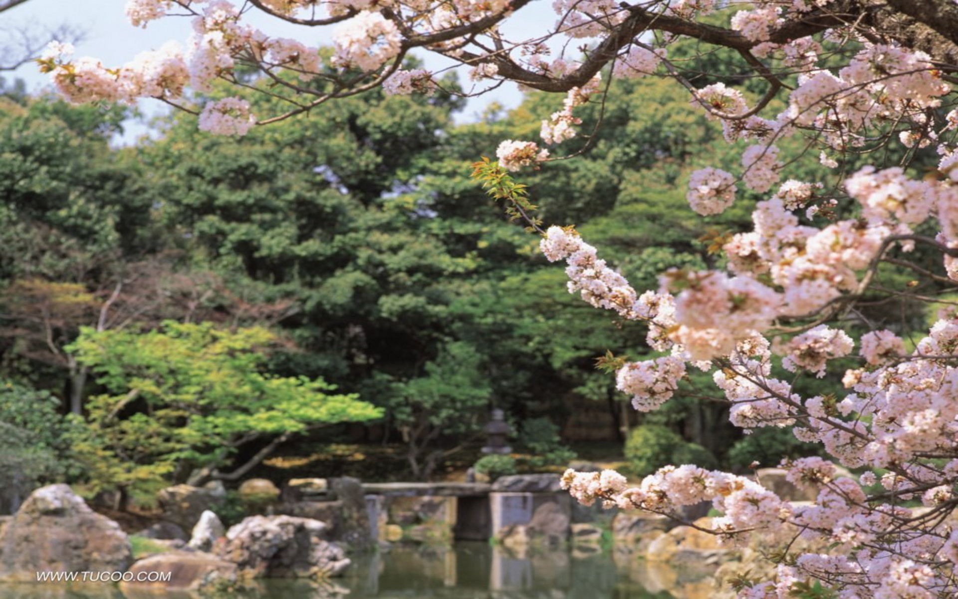 Wallpaper Japanese Garden 3d For Desktop On Htm