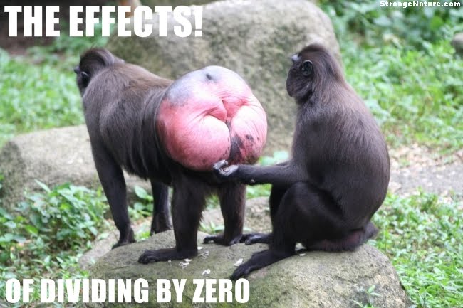 Funny Animals And Their Butts Pictures