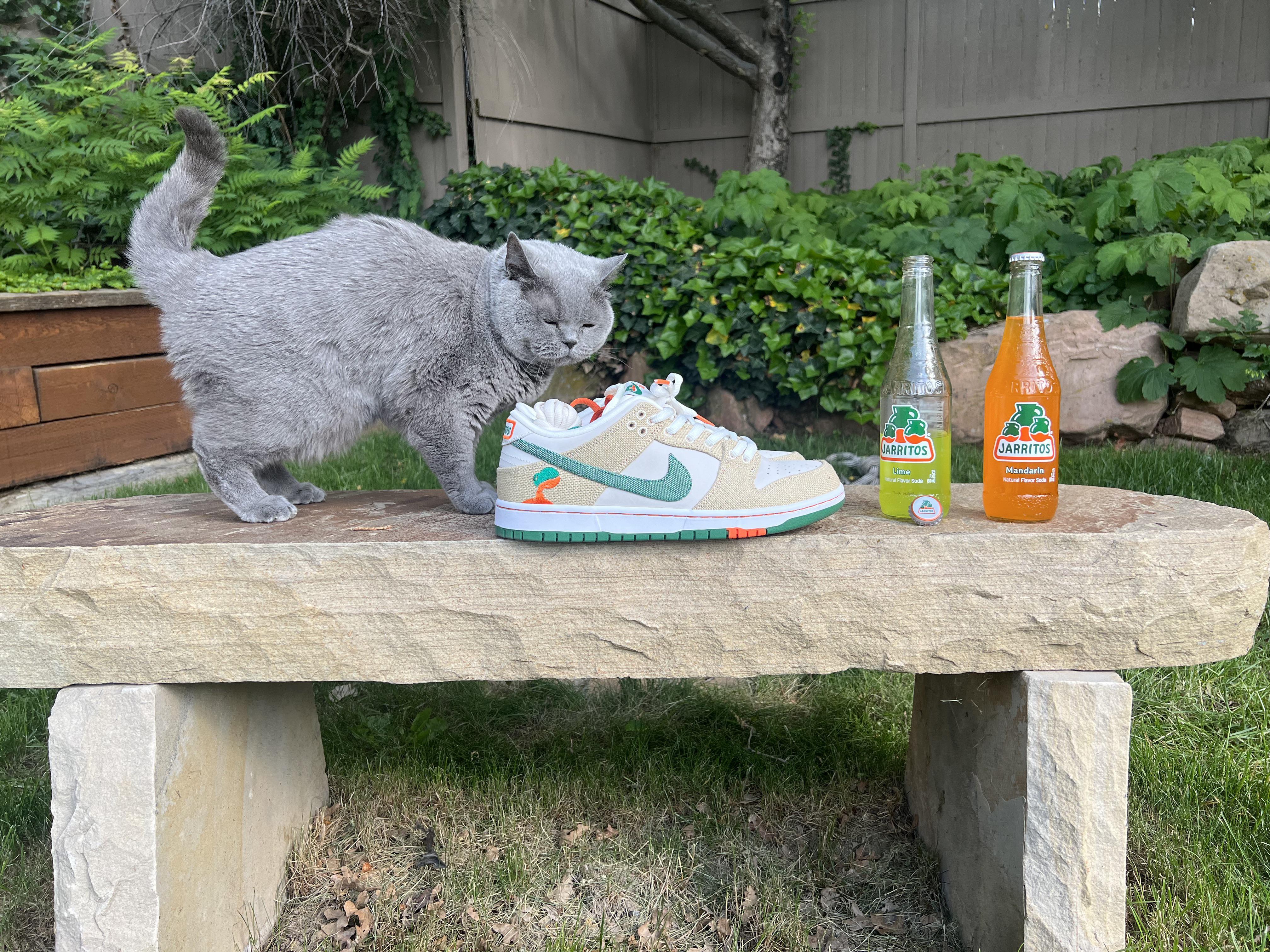Jarritos Dunk Low Yc Batch In Hand Pics Lace Swaps And Re