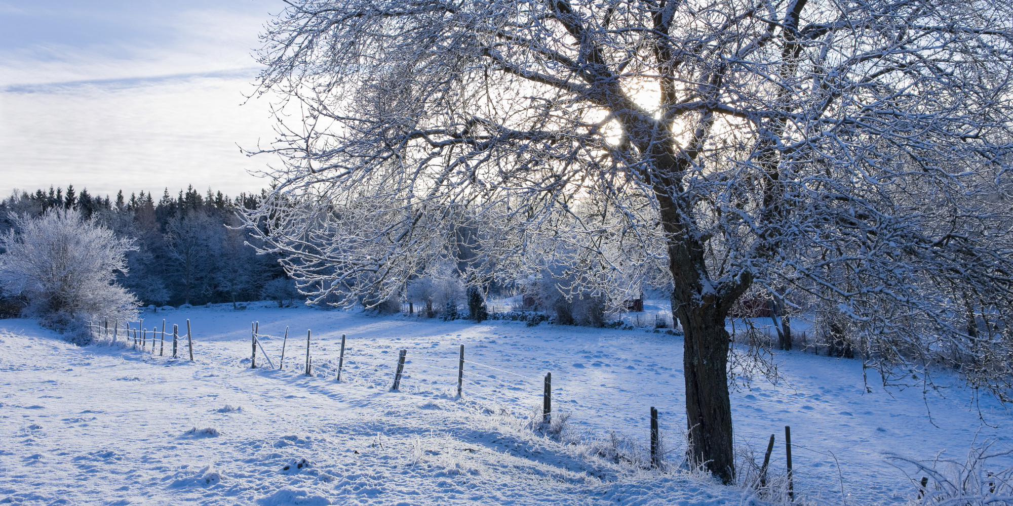Winter Wonderlands To Energize Your Spirit Photos