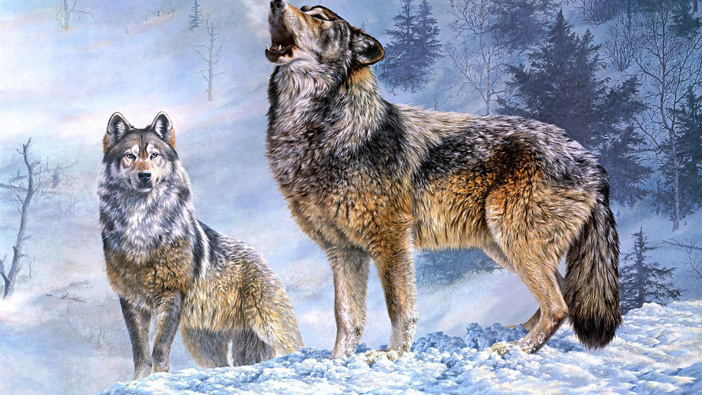 Howling Wolf Wallpaper