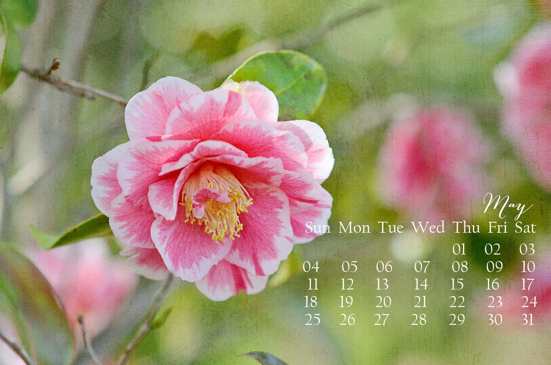 Digital Desktop Wallpaper Calendar Customized For Each Month In