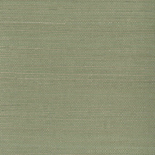 50+ Light Green Vinyl Grasscloth Wallpaper on ...