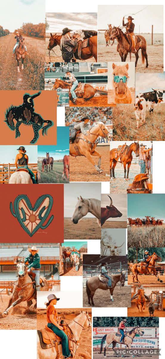 Take A Journey Through Horse History With This Collage