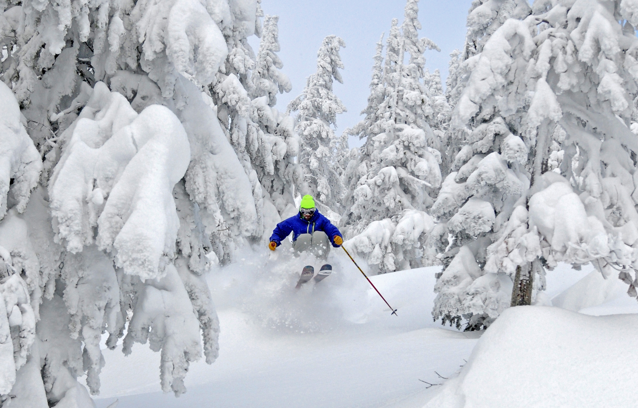 Powder Skiing Wallpaper Wallpapersafari throughout How To Ski Powder In Trees