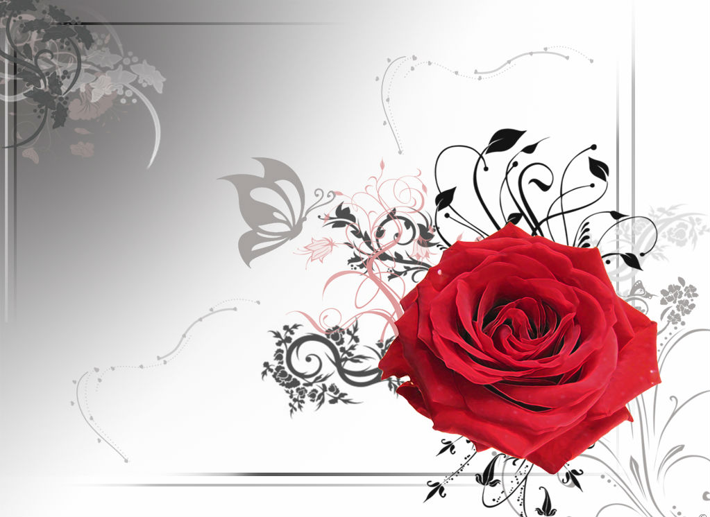 Red Rose Flower Border Background For Powerpoint Ppt