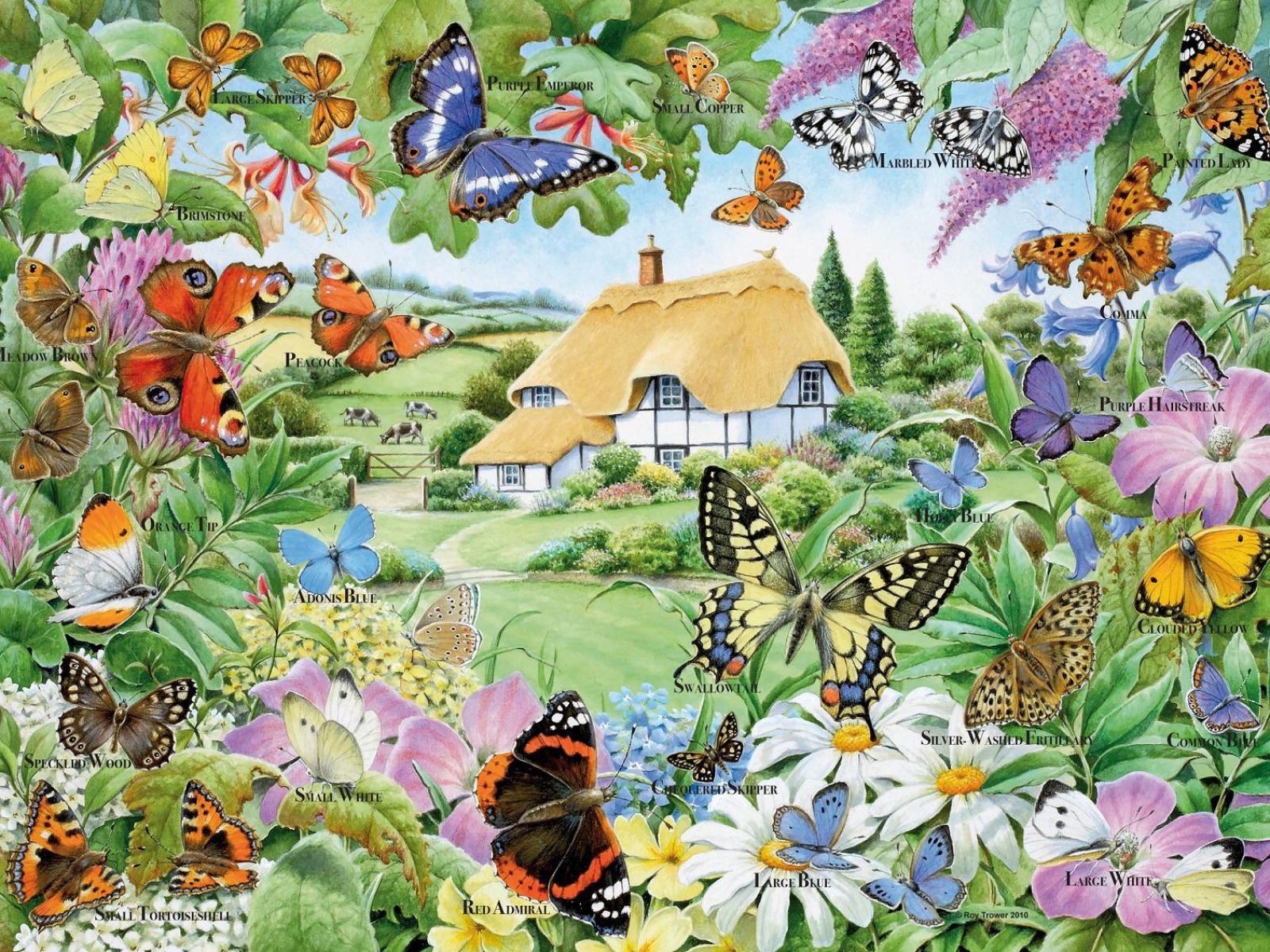Butterfly Family Garden Desktop Pc And Mac Wallpaper