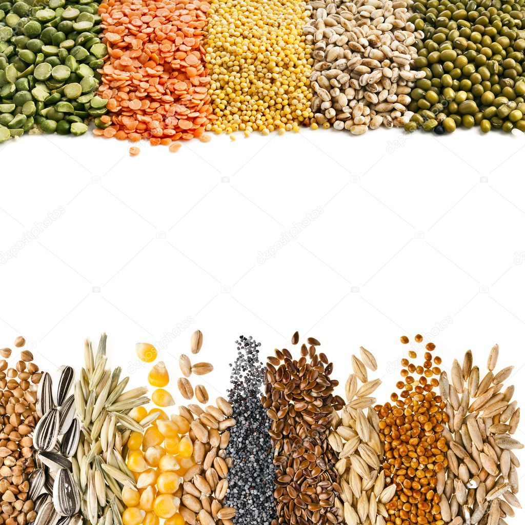Cereal Grains Seeds Beans Border On White Background Stock