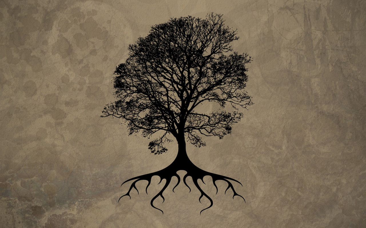 Tree silhouette wallpaper 5048