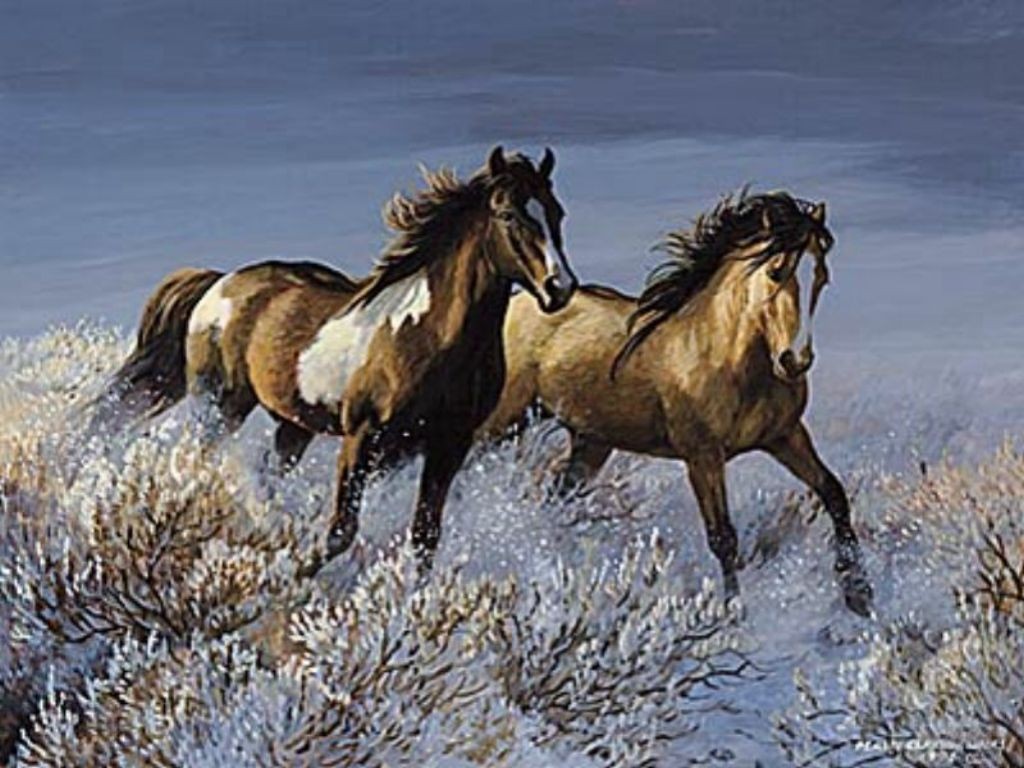 Black Wild Horses Running Wallpaper Beautiful