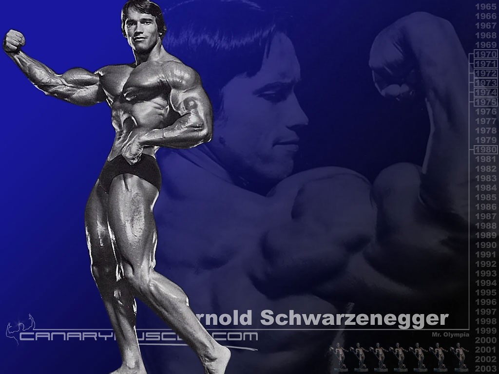 Full Size Arnold Schwarzenegger Body Building Wallpaper