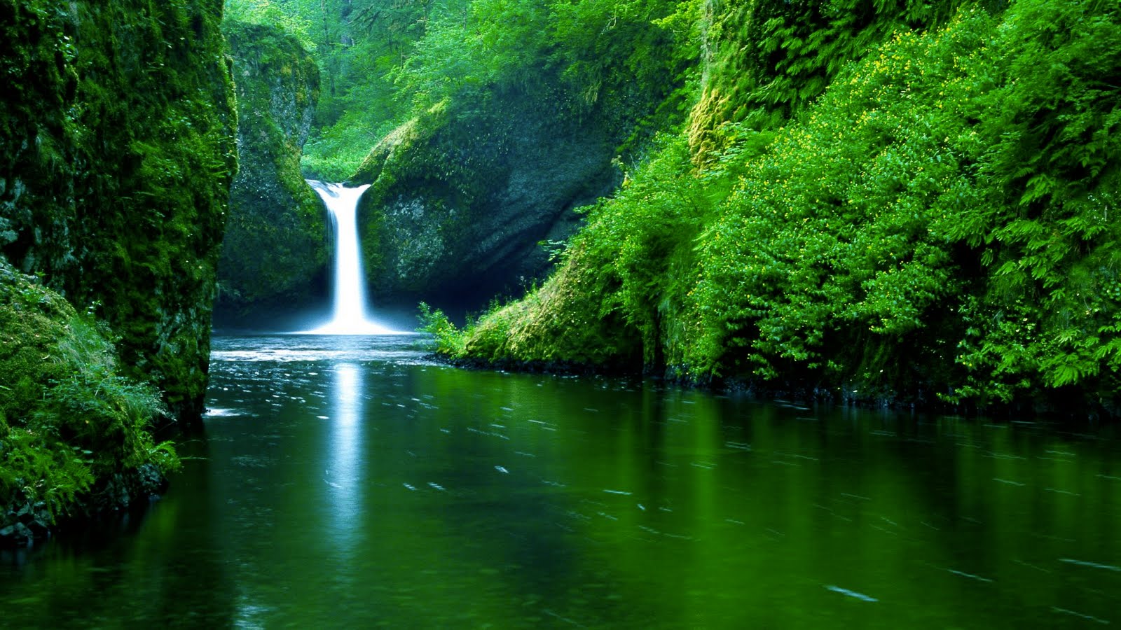 Rahim Is Here Collection Of Cool Nature Wallpaper