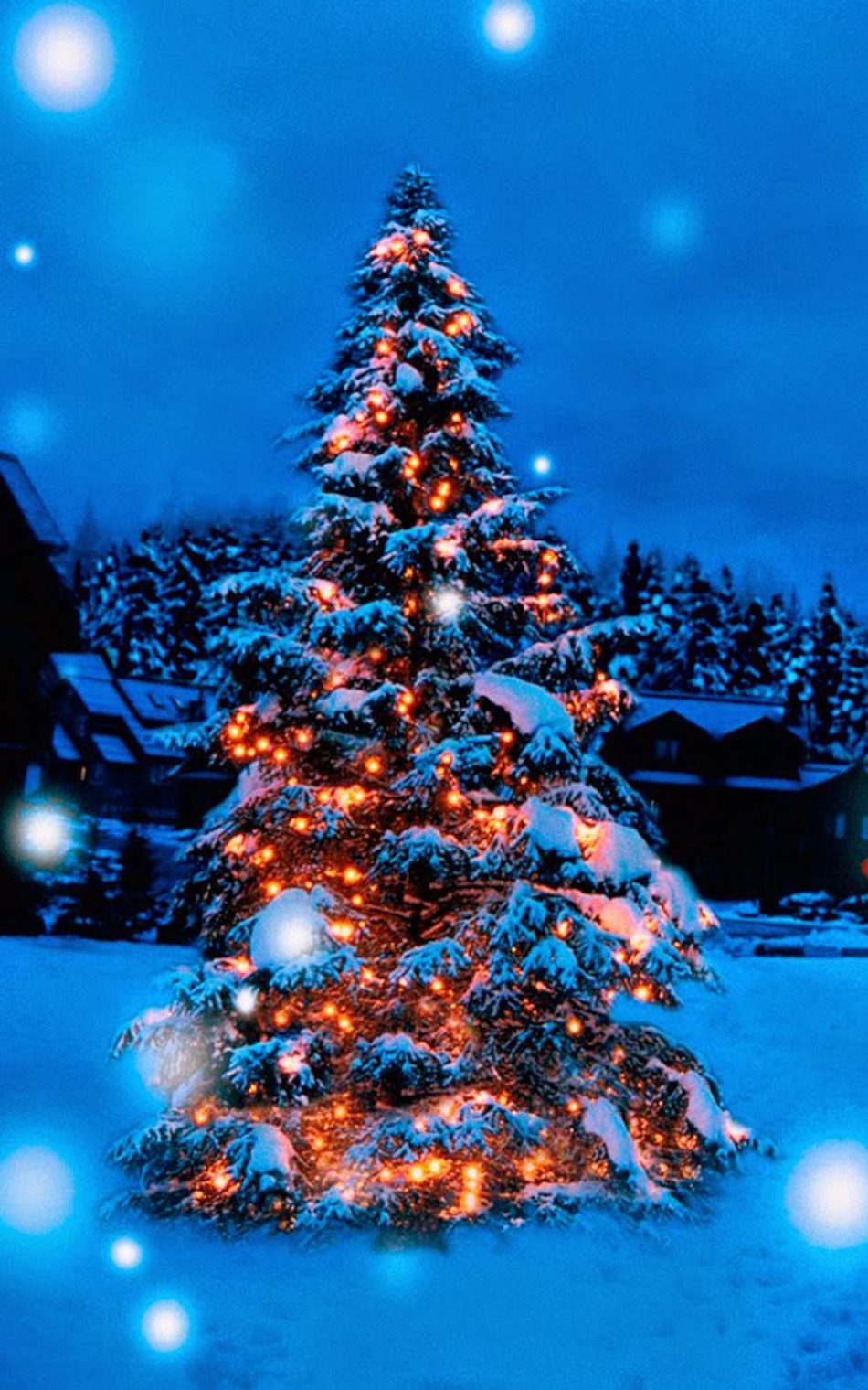 Christmas Tree Lights Decoration Snow Covered 4K Ultra HD Mobile 950x1520