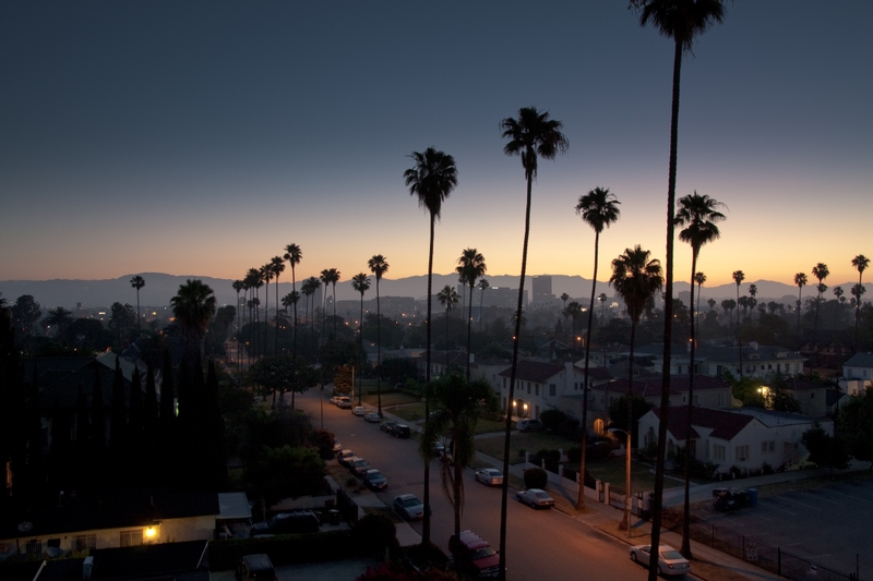 Buildings Los Angeles Palm Trees Evening Wallpaper