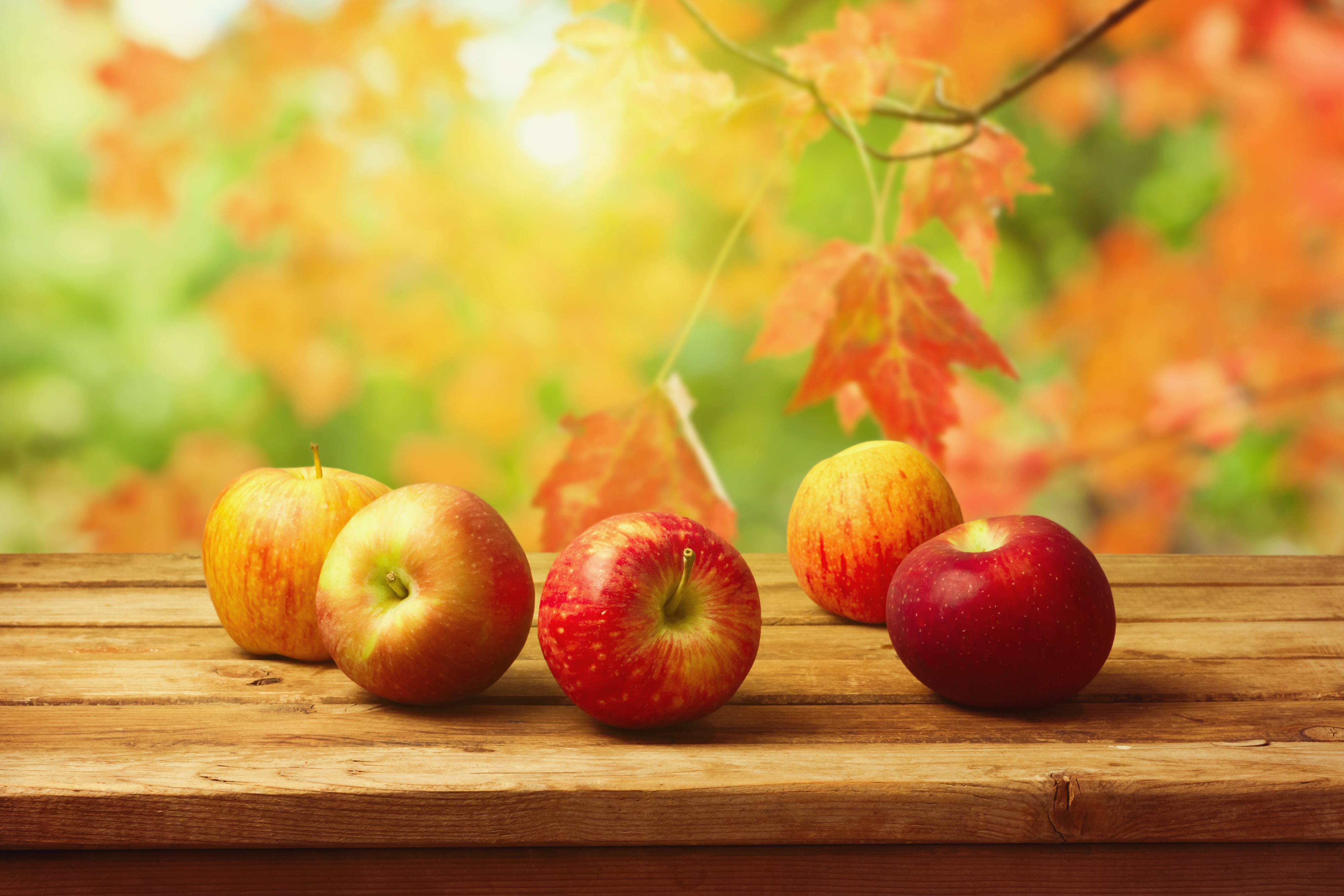 Fall Background With Apples Gallery Yopriceville High Quality