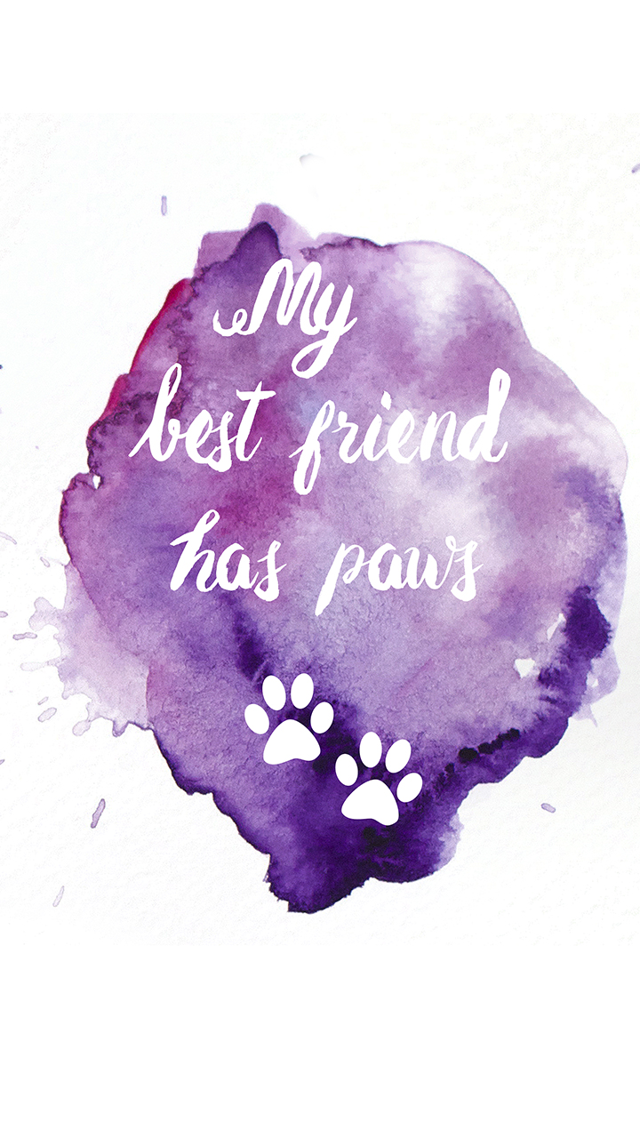 Best Friend Has Paws Phone Wallpaper By Choosing Your Resolution
