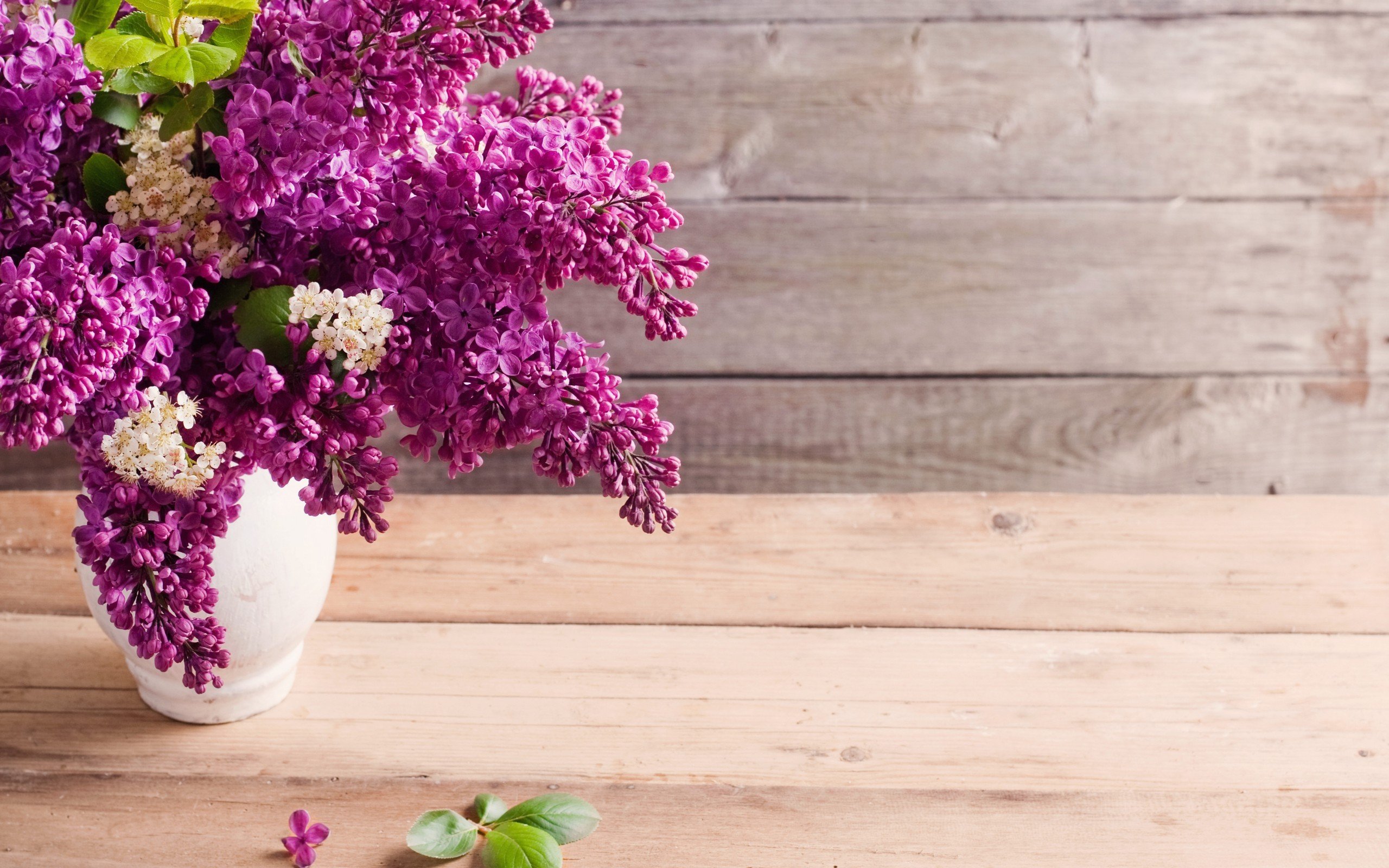 Flowers lilac vases wooden planks wallpaper 2560x1600 258907