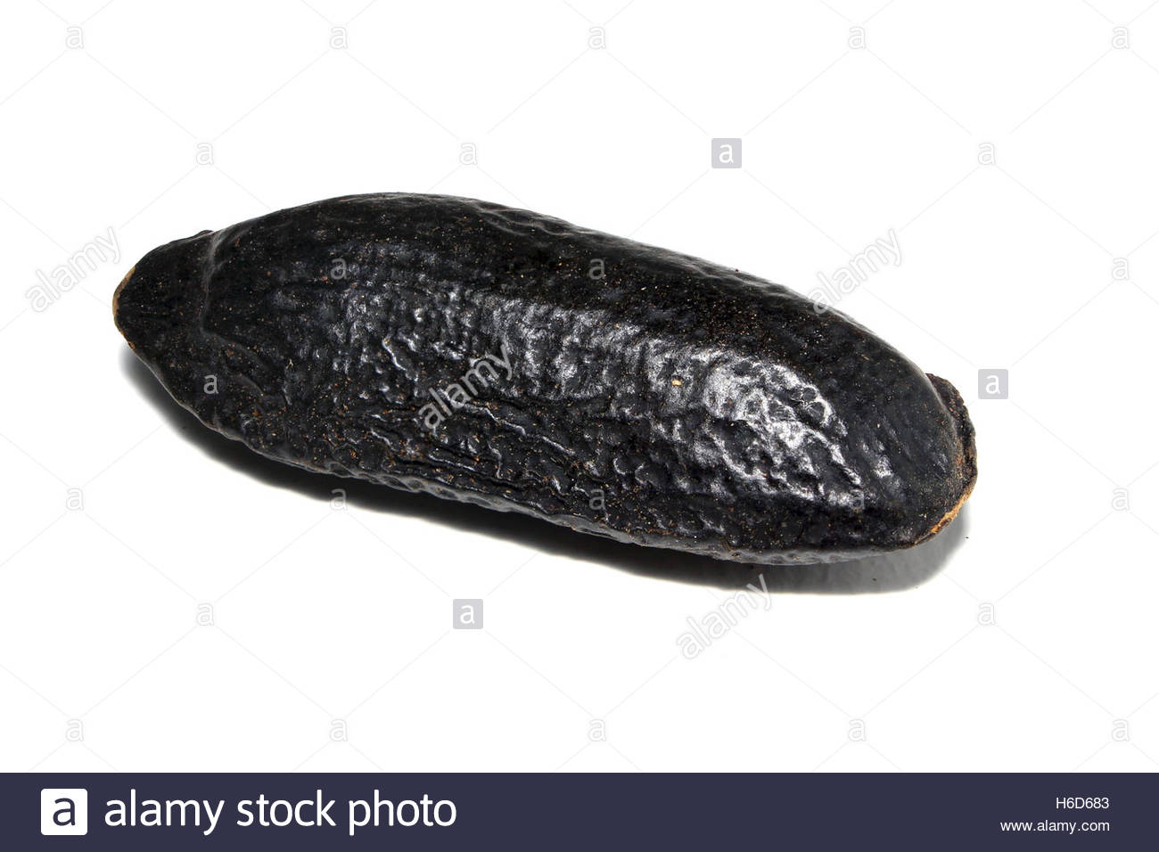 Tonka Bean Cumaru Seed With White Background Stock Photo