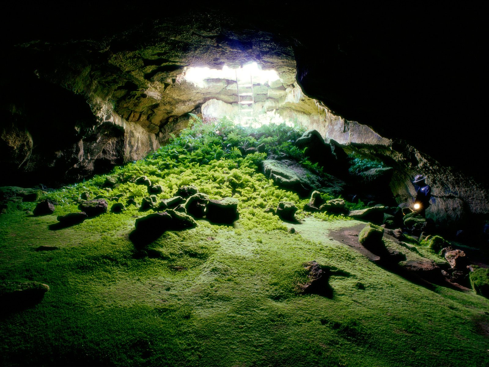 Cave Wallpaper Pic Pictures
