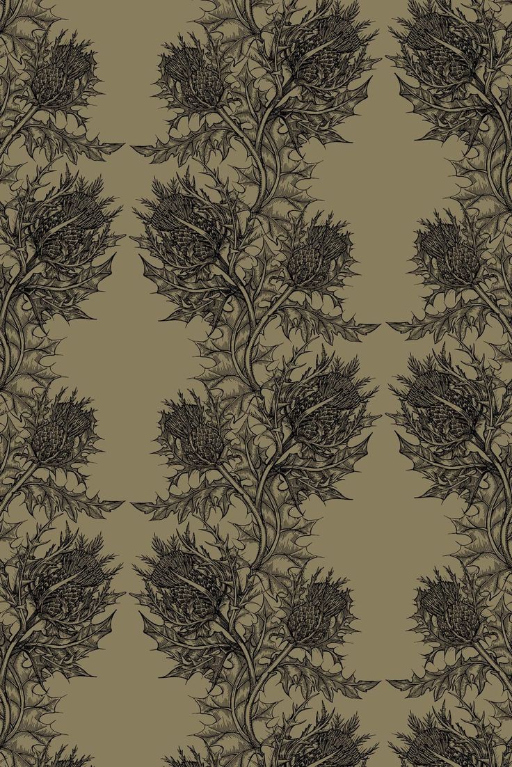 Thistle Wallpaper Home Is Where The Heart