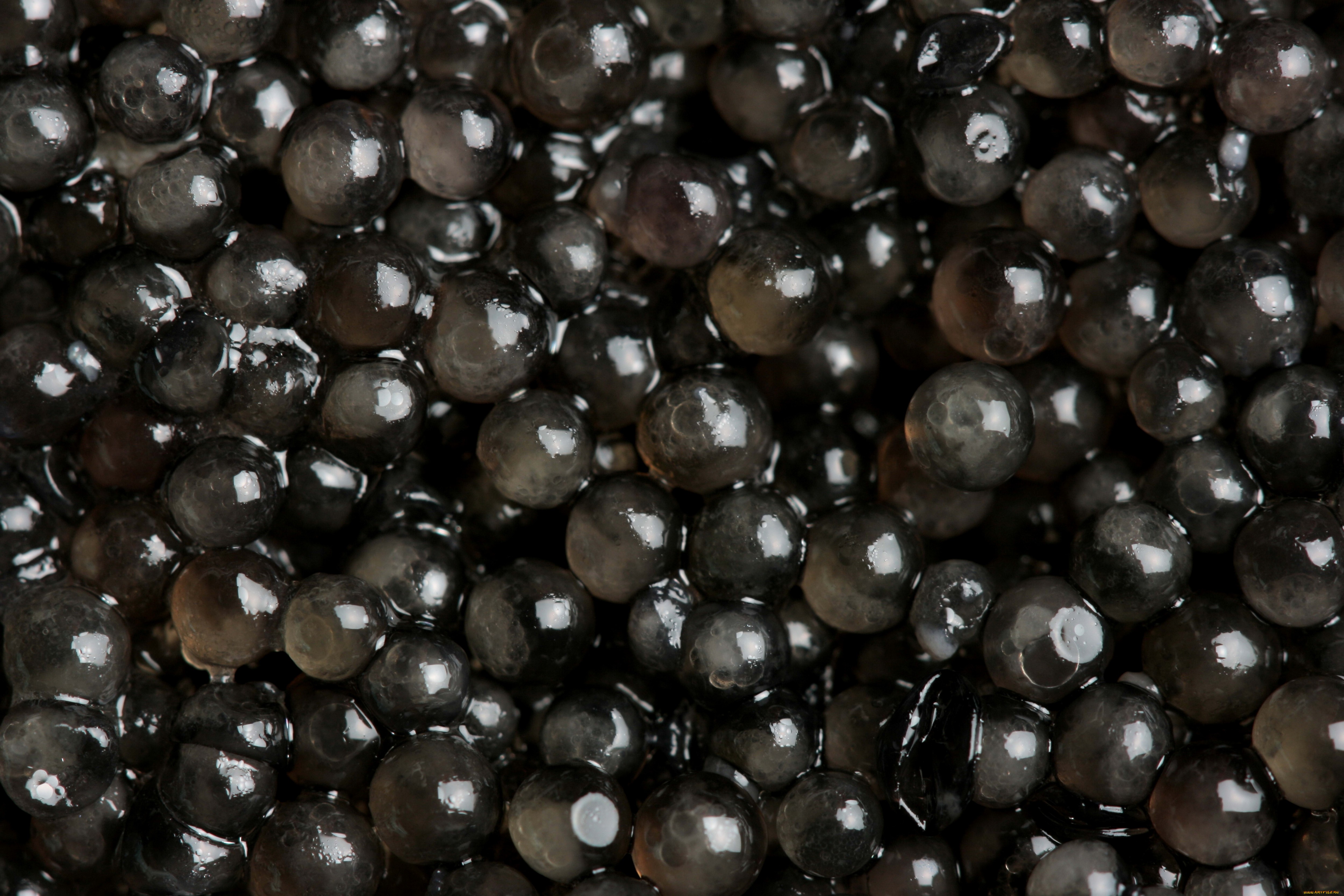 Caviar 4k Ultra HD Wallpaper Background Image Id