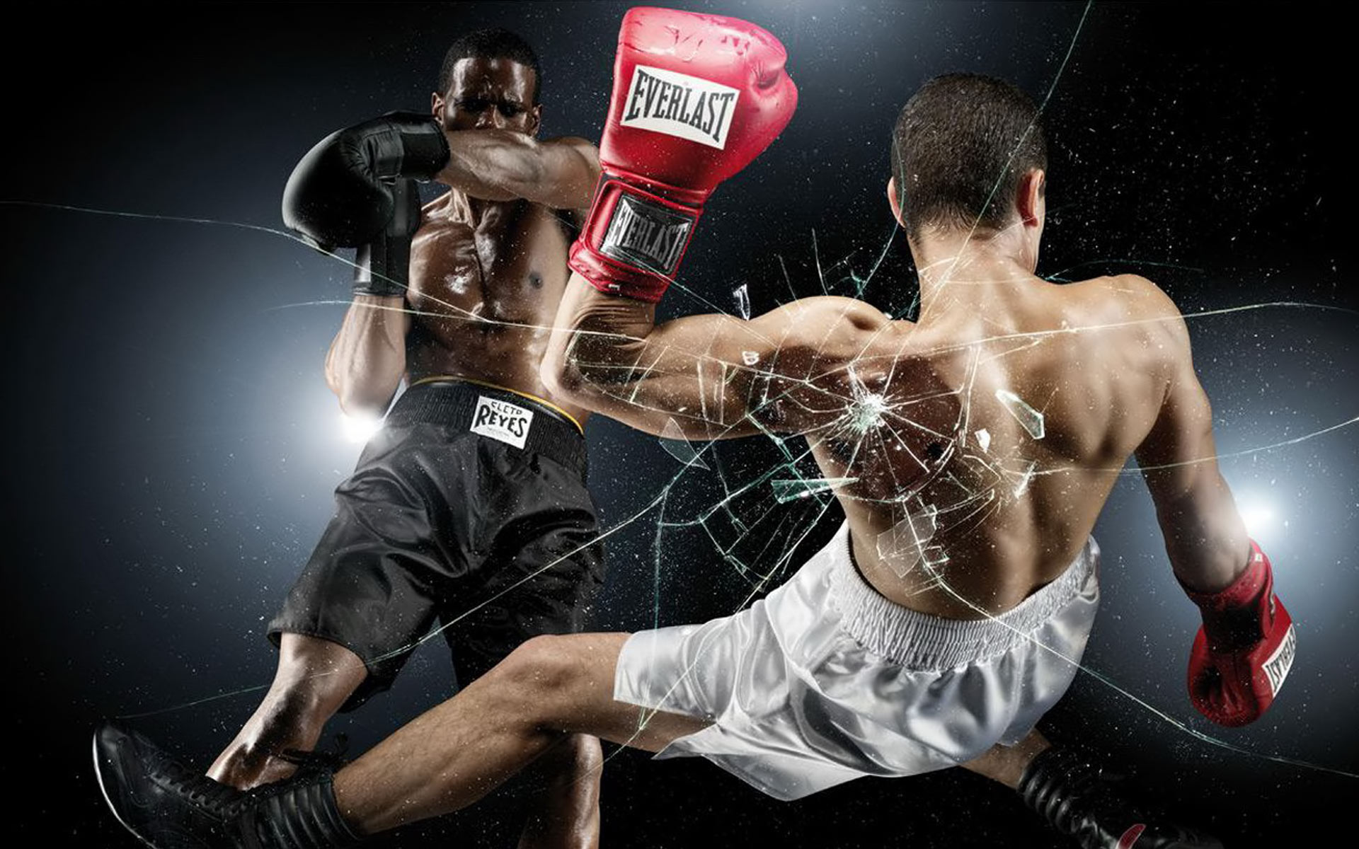 Are Boxing And Mma Dangerous L Hfr