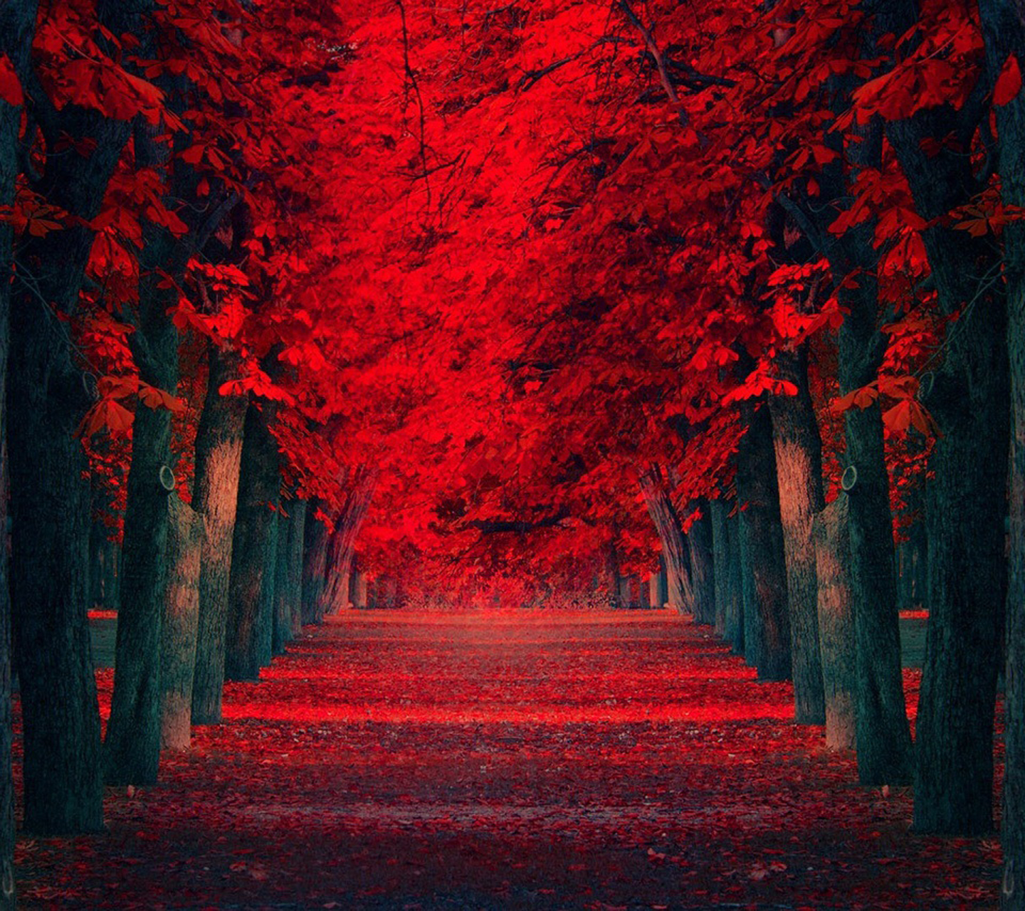 64+] Red Nature Wallpaper - WallpaperSafari