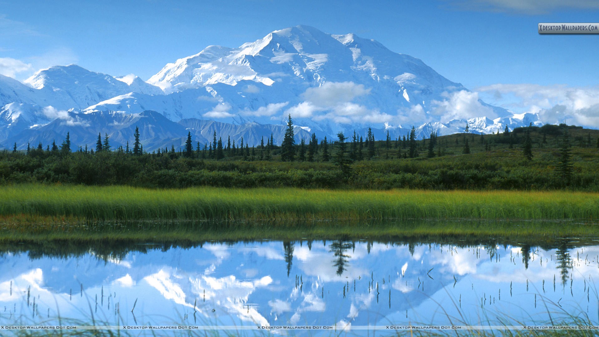 Reflections Mount Mckinley Denali National Park Alaska Wallpaper