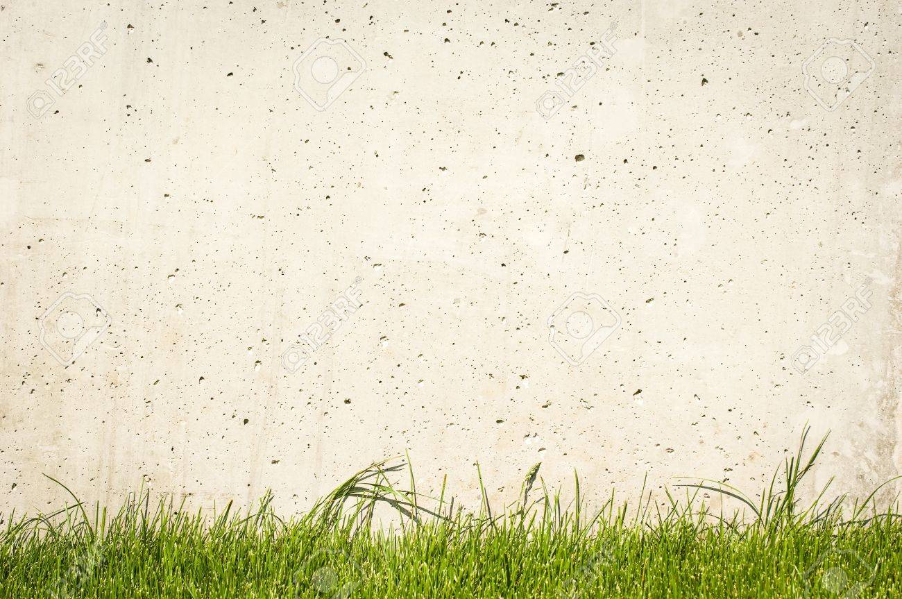 Modern Concrete Wall And Grass Nice Background With Space For