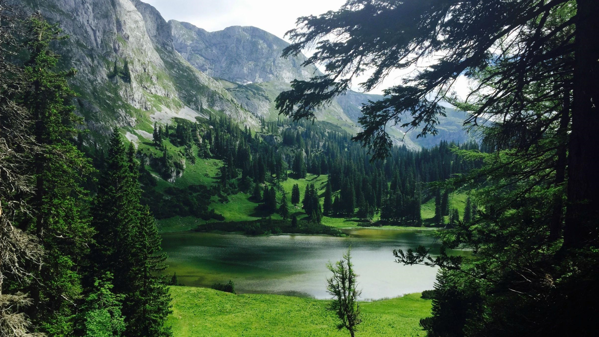 Nature Landscape Water Rock Trees Forest Lake Mountain Pine Wallpaper