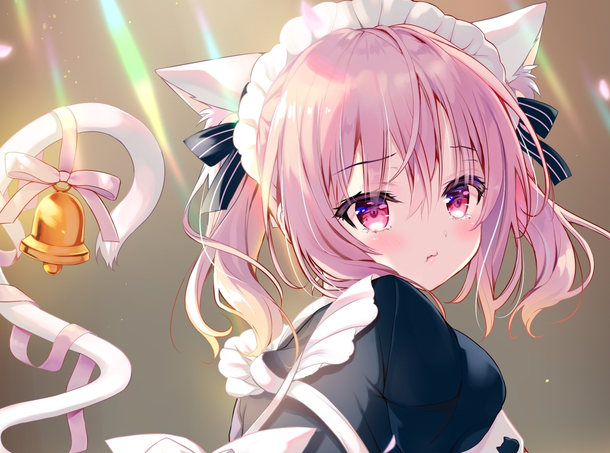 Wallpaper  cat girl ai art vertical anime girls maid outfit cat ears  bow tie long hair looking at viewer sitting 2304x4096  suntongtong   2228554  HD Wallpapers  WallHere
