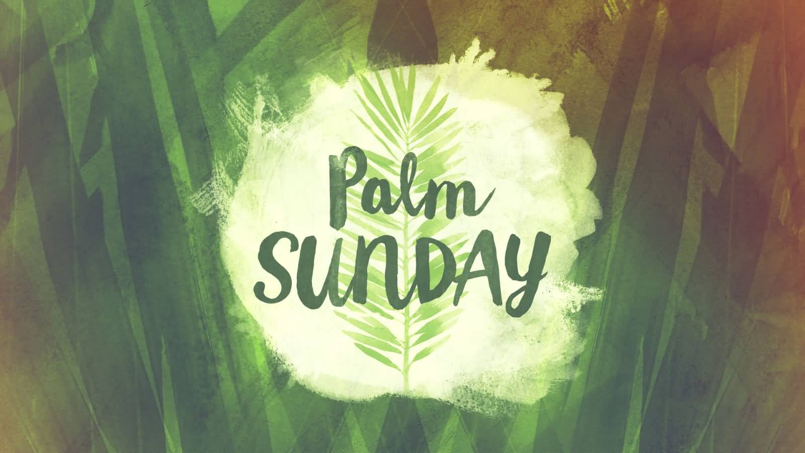 Beautiful Palm Sunday Greeting Pictures And Image