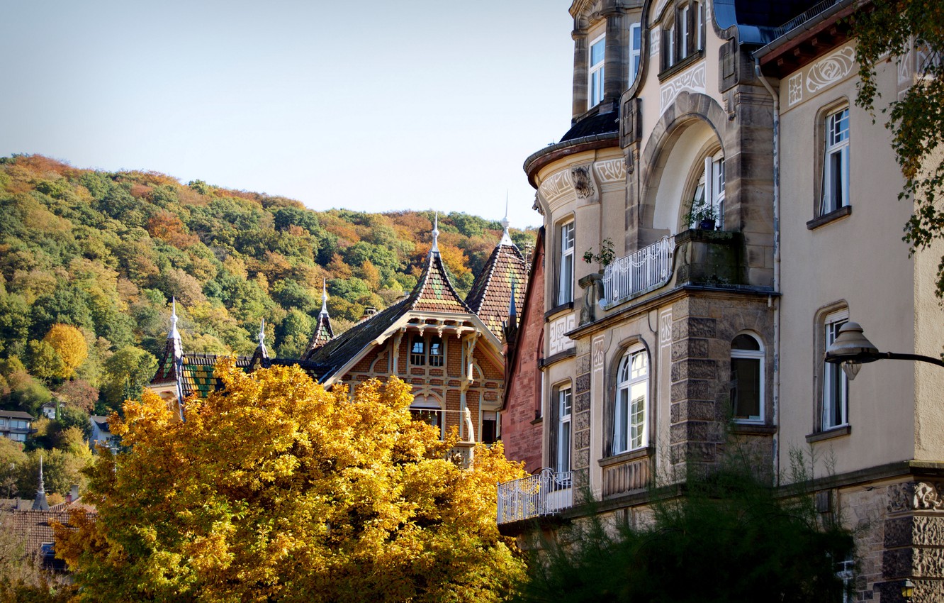Wallpaper City Forest Trees Style Germany Autumn Leaves
