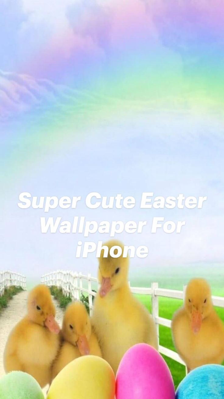 Super Cute Easter Wallpaper For iPhone