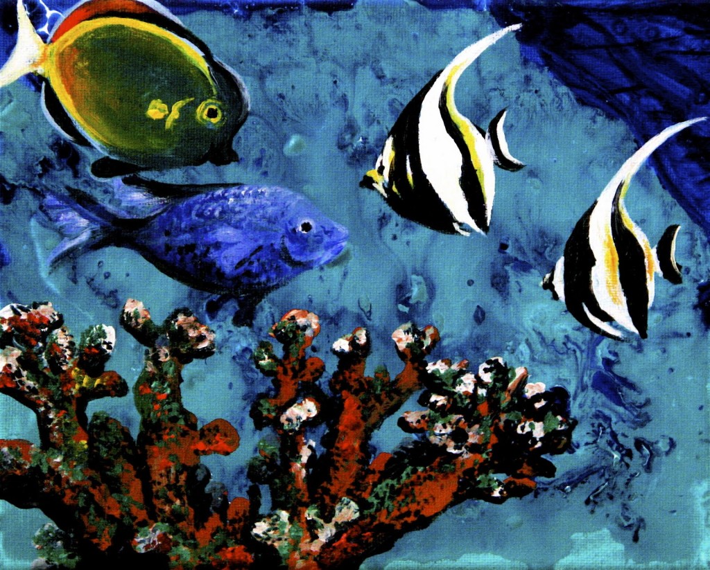Colorful Coral Reef Fish Wallpaper HD