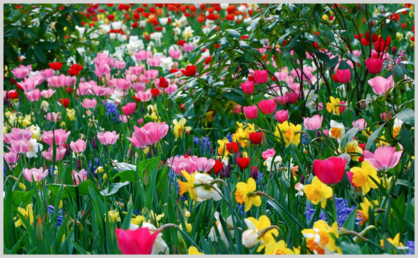 20 High Resolution Spring Wallpapers   Ahref Magazine