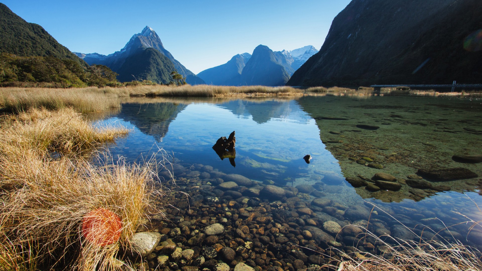 Milford Sound New Zealand Wallpaper Widescreen HD Gnome Look Org