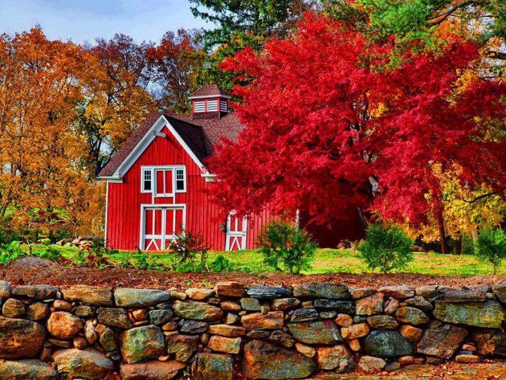 Autumn Barn Blazing Red In Photoland