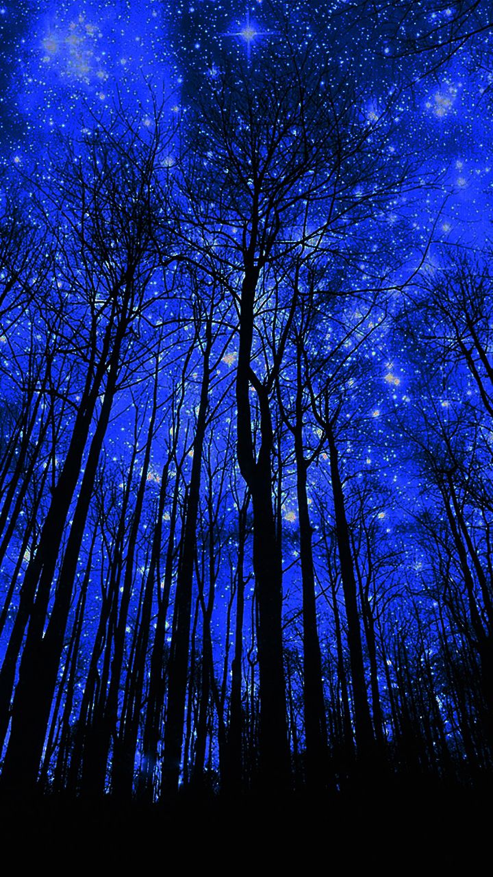 Starry Night Forest Wallpaper Telefon Duvar Ka Tlar Resim Do A