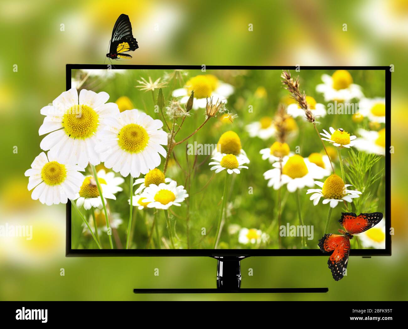 Monitor With Nature Wallpaper On Screen Natural Background
