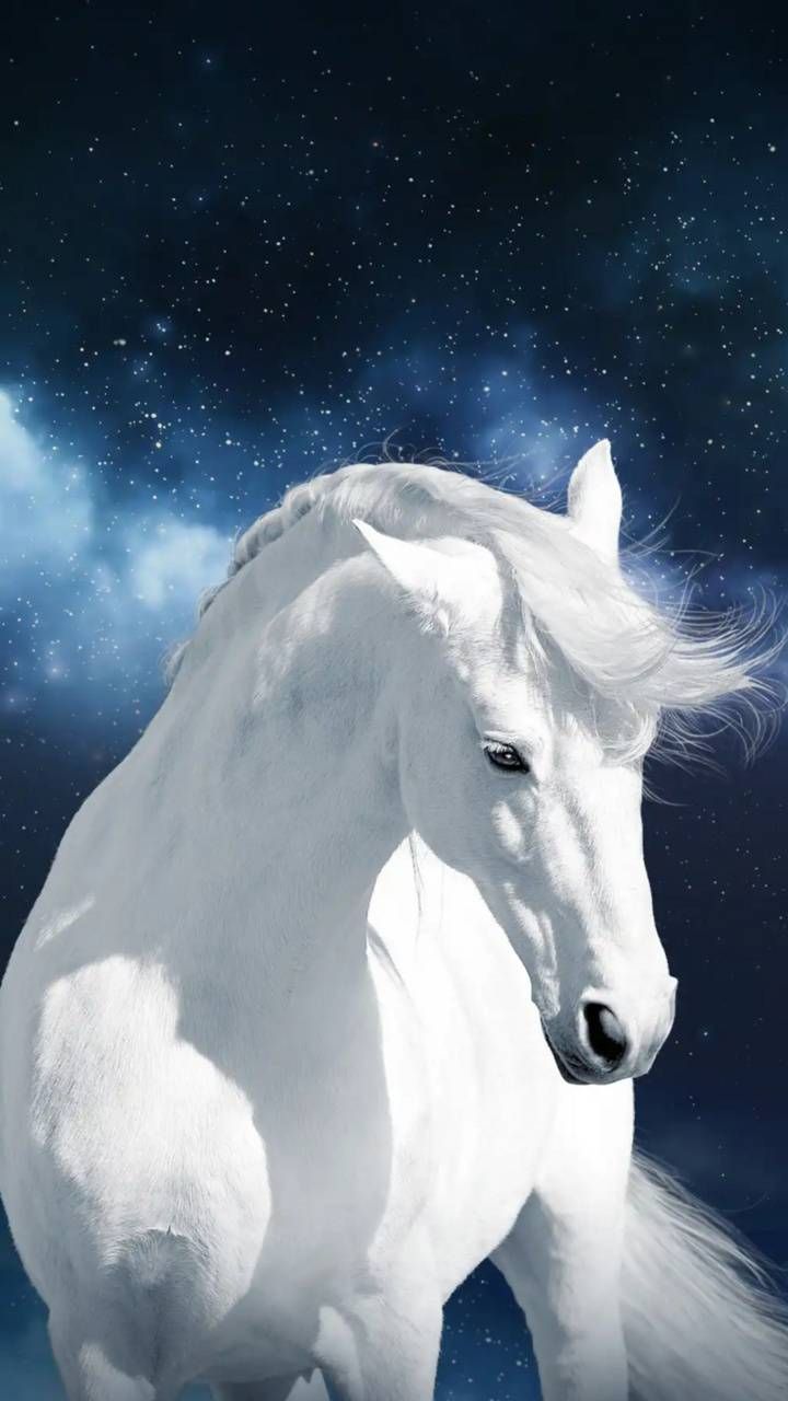 White Horses Wallpaper