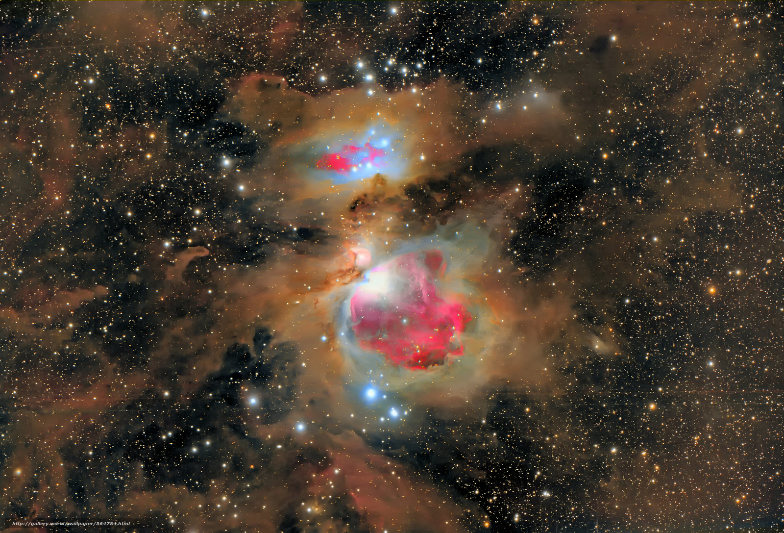 Wallpaper Orion Constellation Nebula Dust Desktop