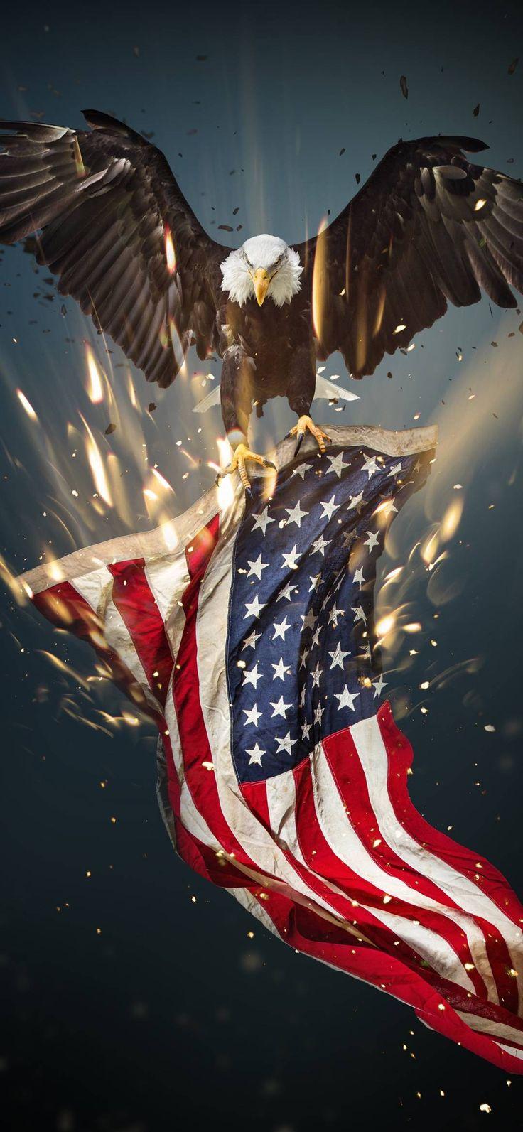 Usa Eagle Amoled Wallpaper American Flag